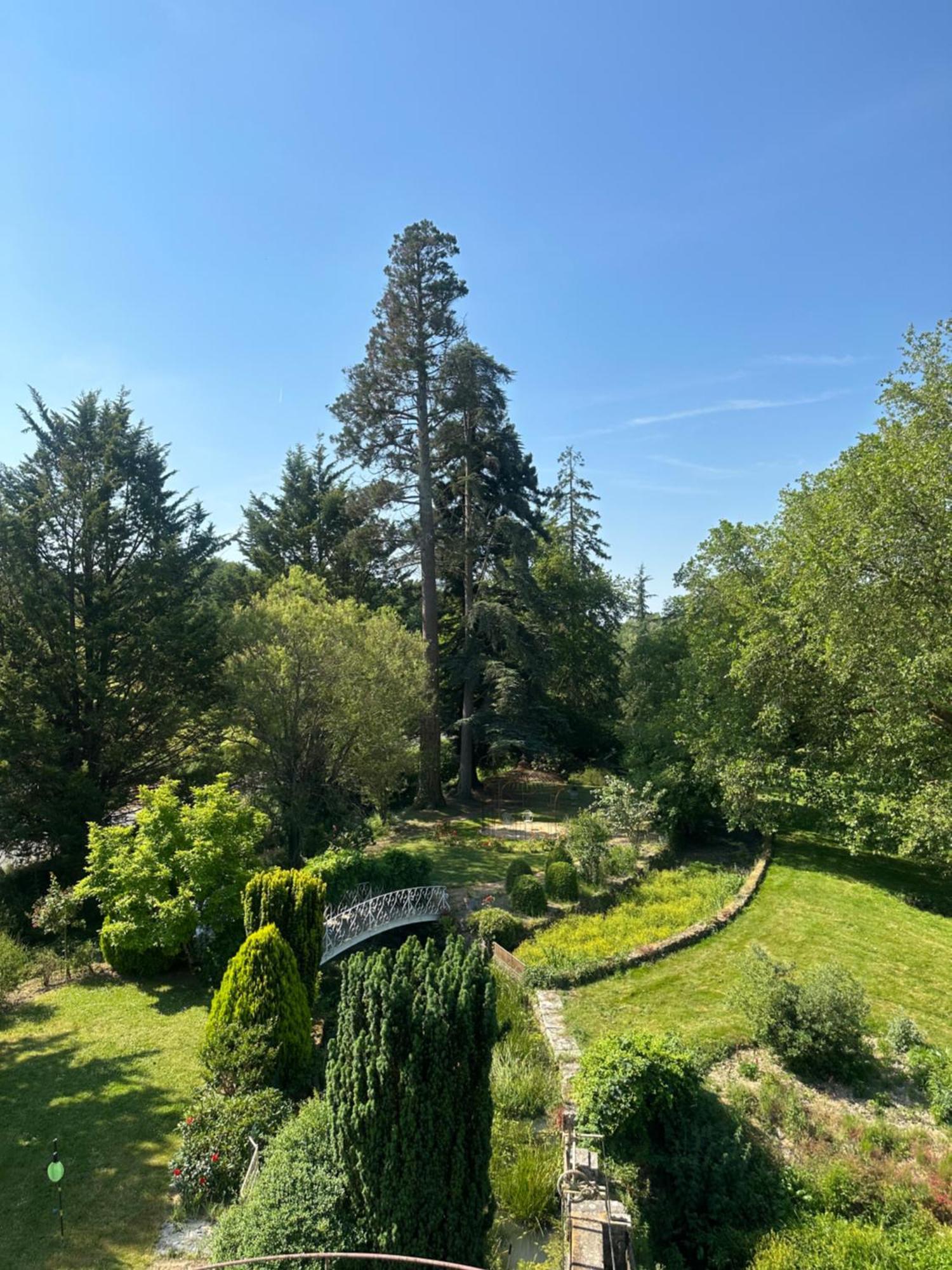 Bed and Breakfast Le Moulin De Francueil Esterno foto