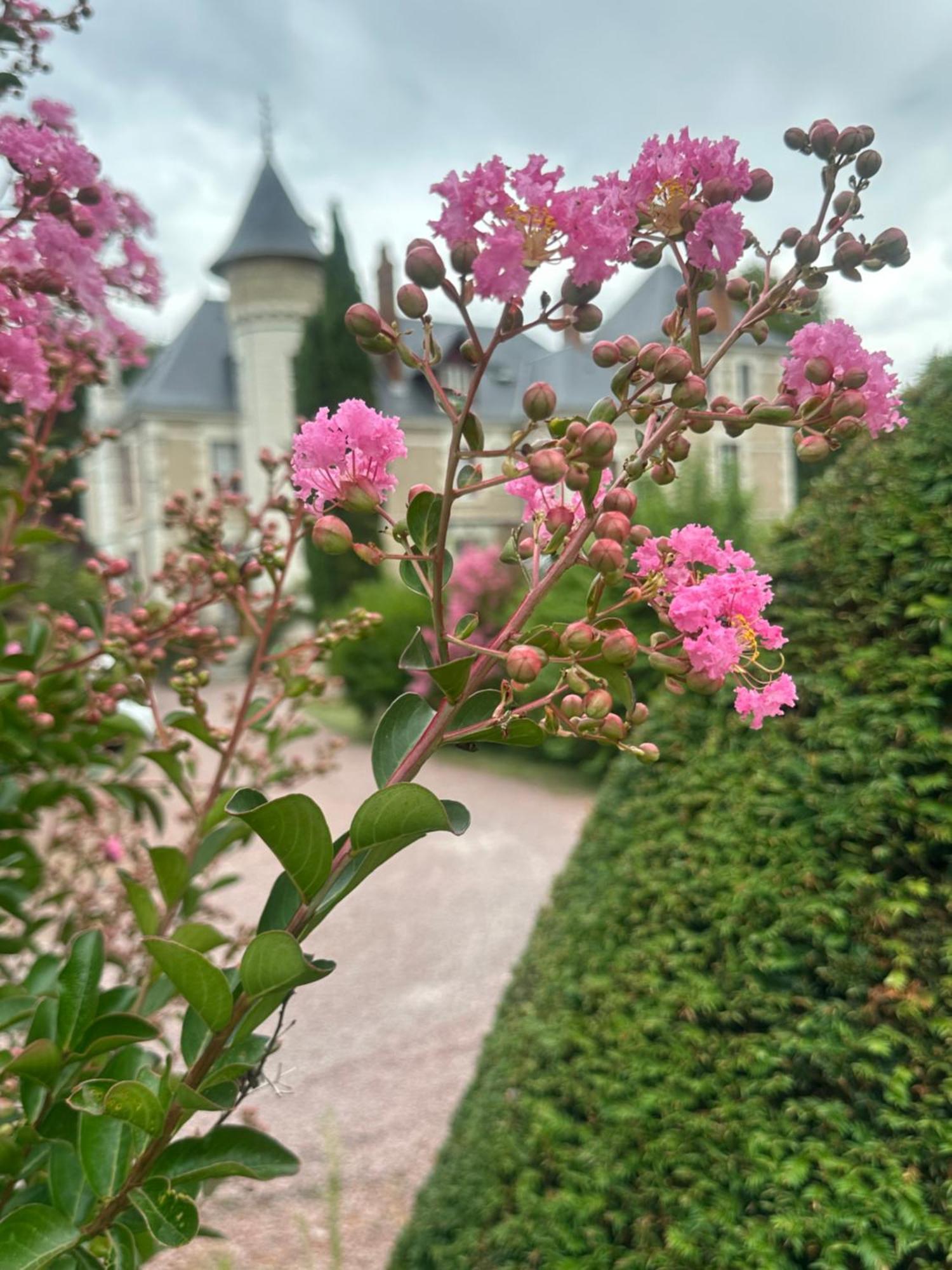 Bed and Breakfast Le Moulin De Francueil Esterno foto