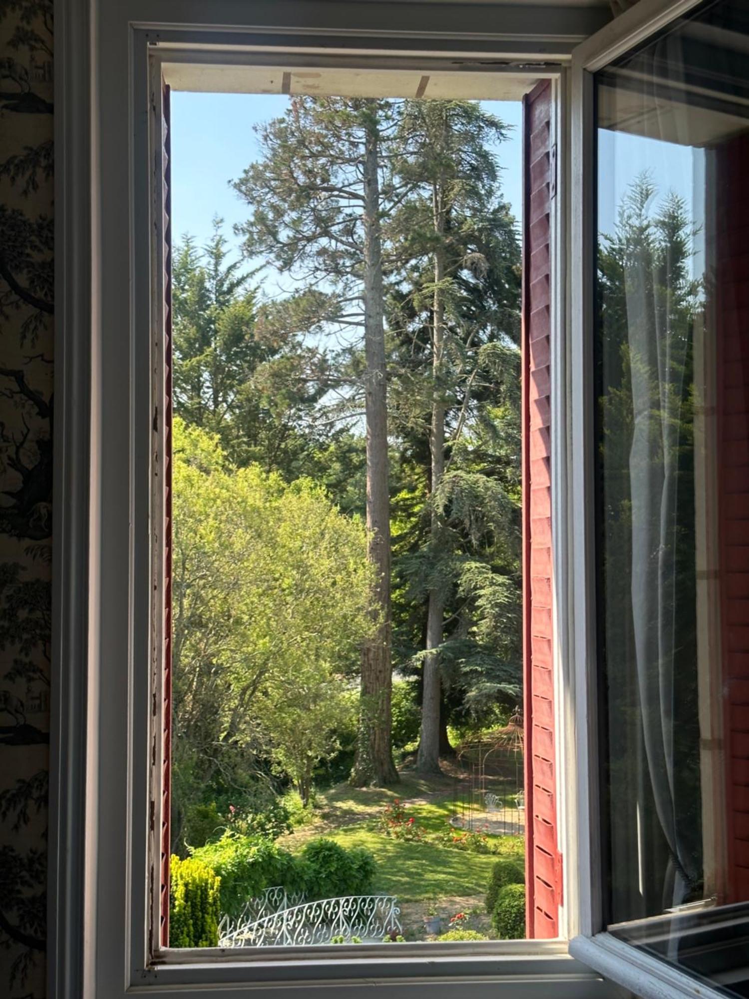 Bed and Breakfast Le Moulin De Francueil Esterno foto