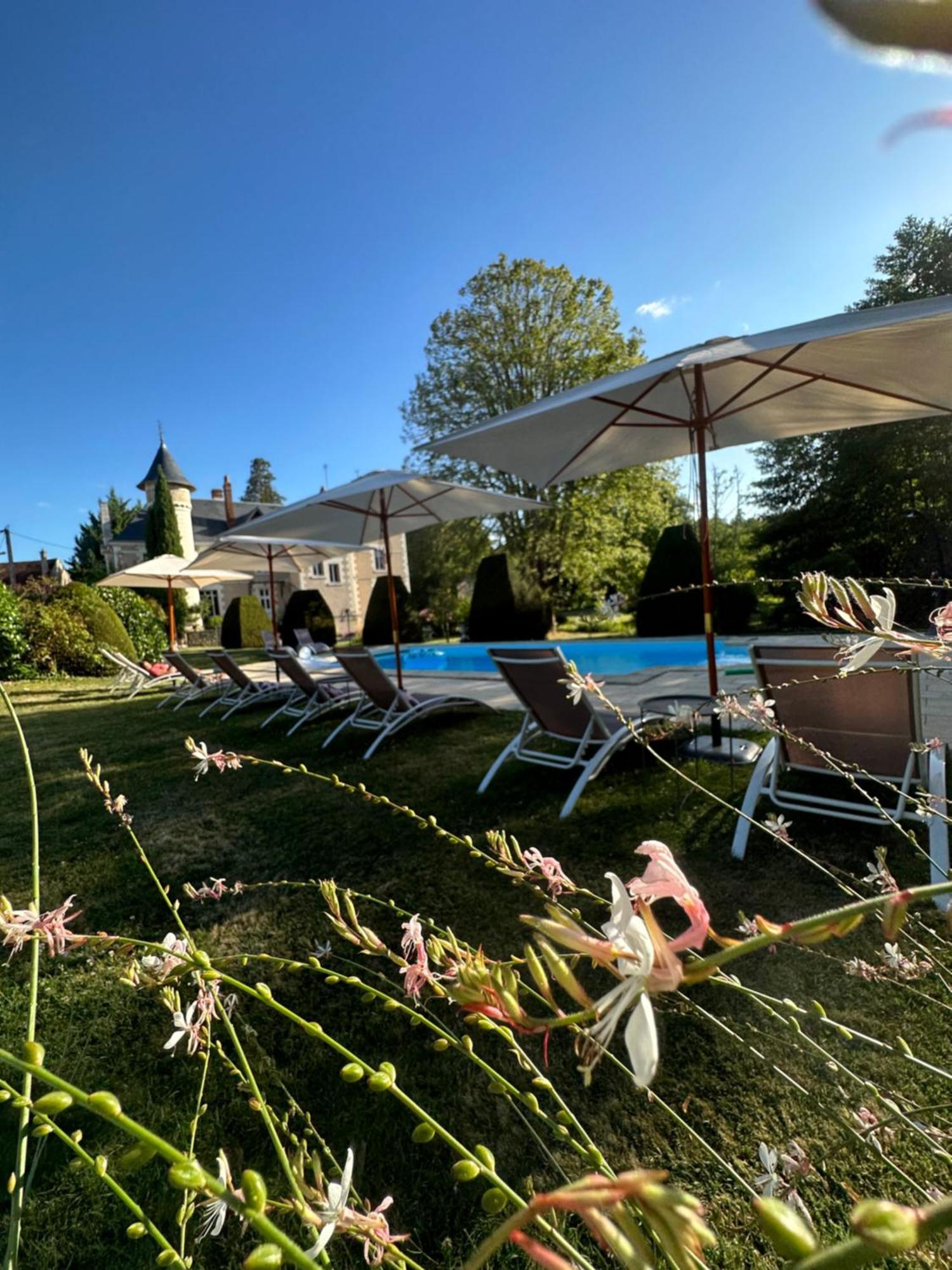 Bed and Breakfast Le Moulin De Francueil Esterno foto